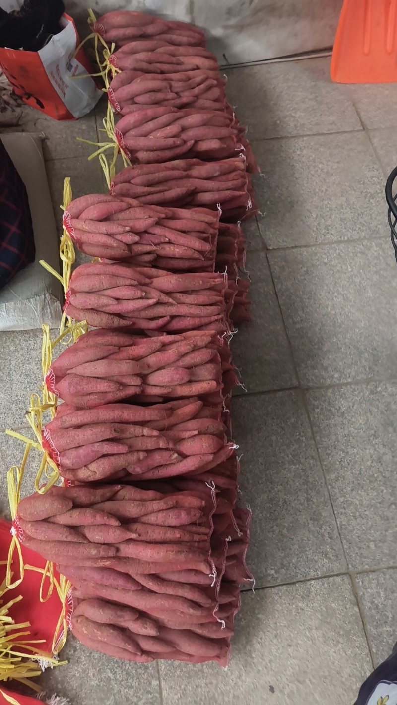 精品西瓜红小红薯支持各种包装。有需要的老板抓紧与我联系。
