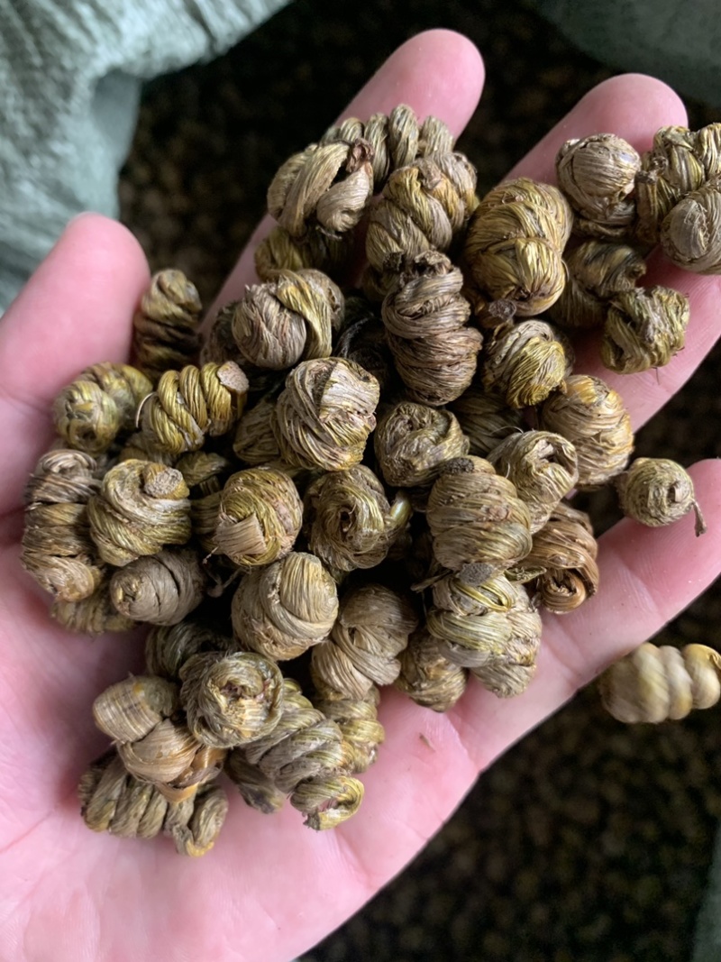 紫皮石斛枫斗，自产自销，产地直销