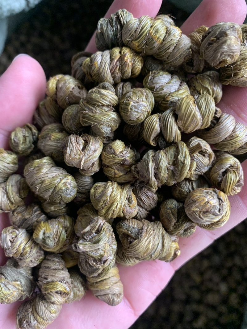 紫皮石斛枫斗，自产自销，产地直销