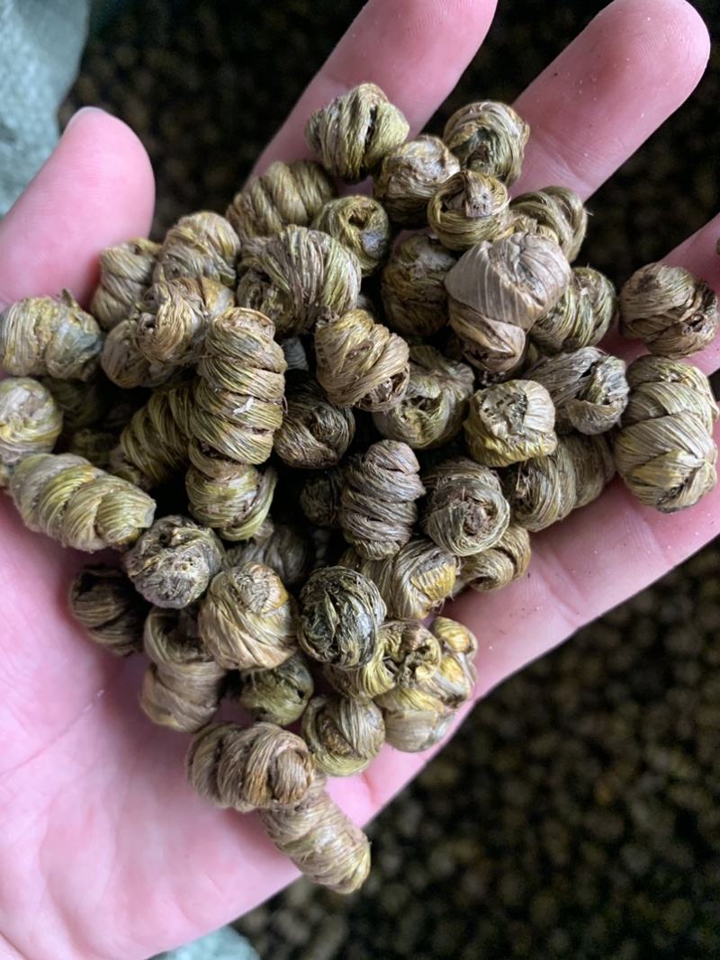 紫皮石斛枫斗，自产自销，产地直销