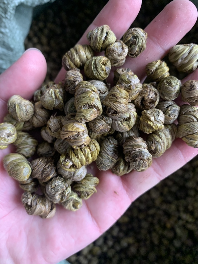 紫皮石斛枫斗，自产自销，产地直销