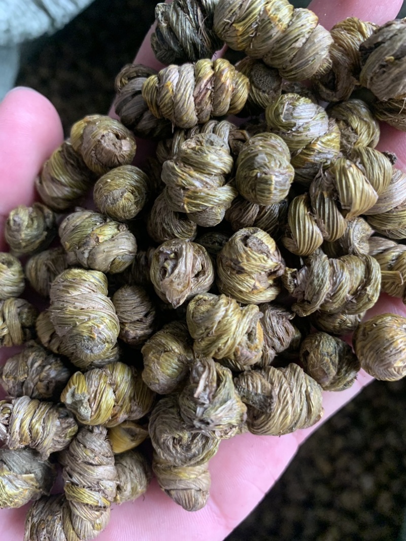 紫皮石斛枫斗，自产自销，产地直销