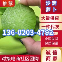 萝卜正宗小沙窝萝卜翠绿甜对接电商社区团购一件代发