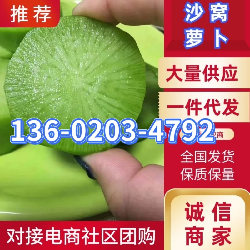 萝卜正宗小沙窝萝卜翠绿甜对接电商社区团购一件代发