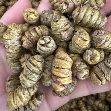 铁皮石斛枫斗