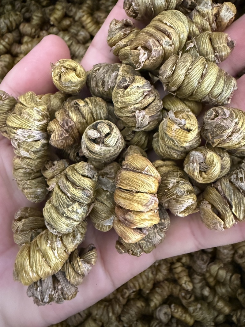 铁皮石斛枫斗