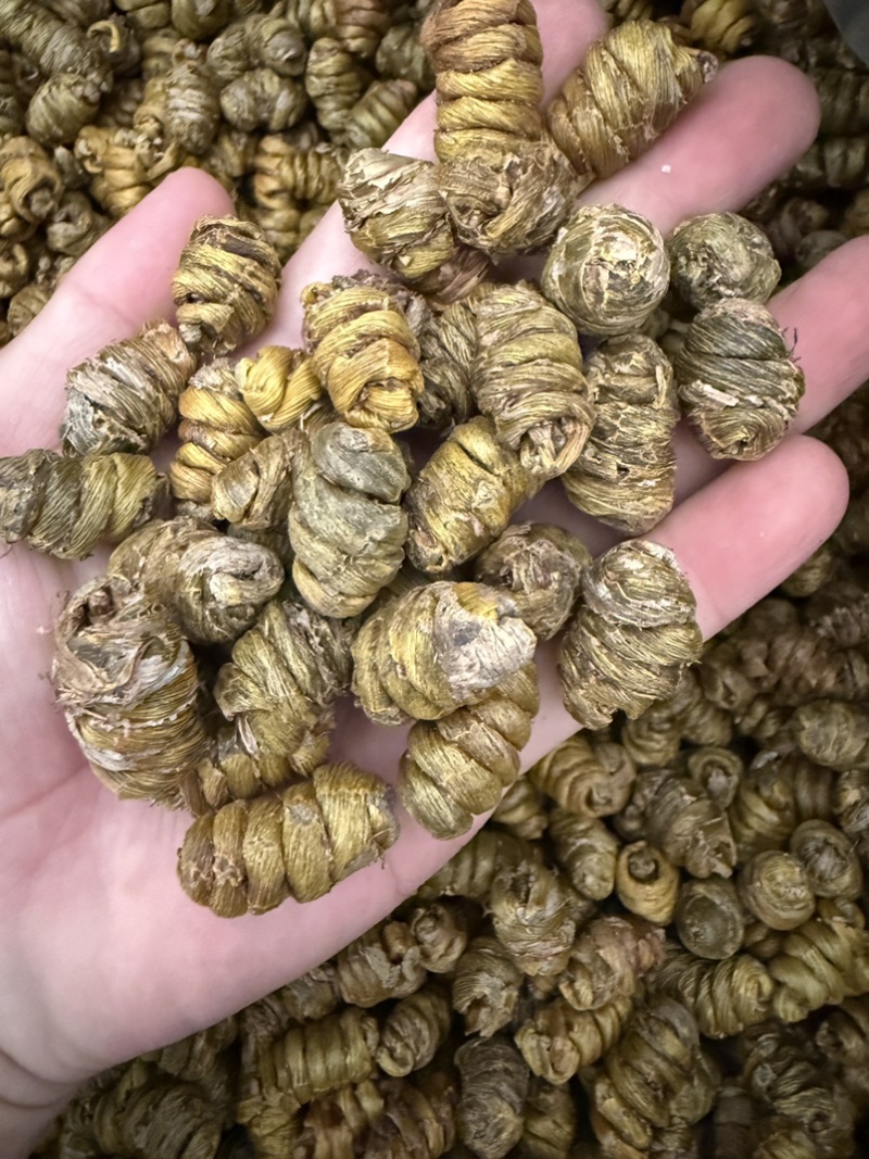 铁皮石斛枫斗