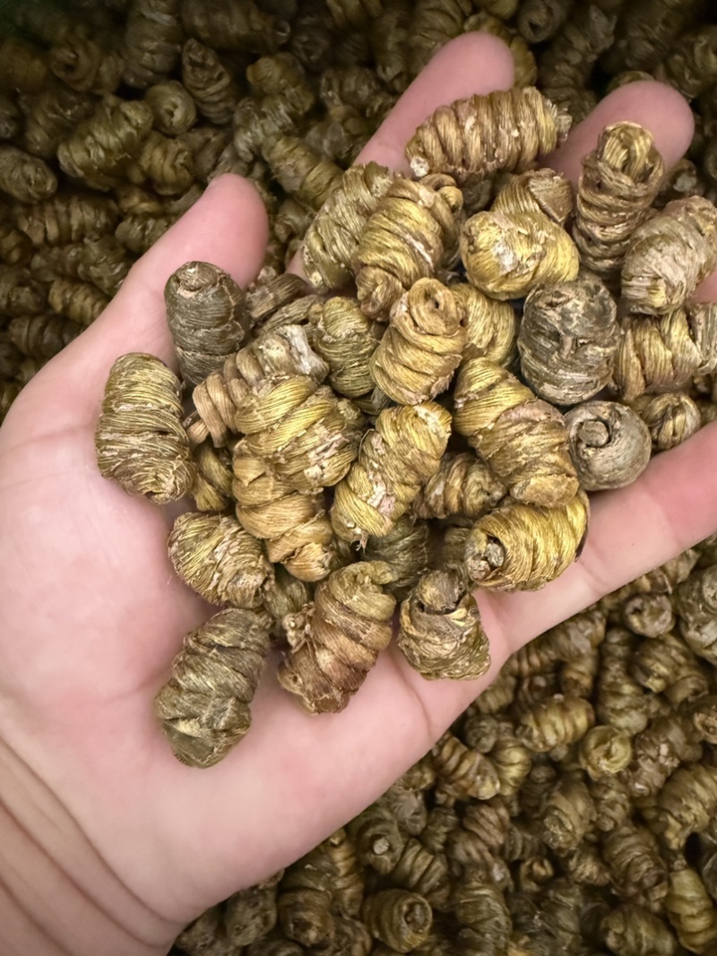 铁皮石斛枫斗
