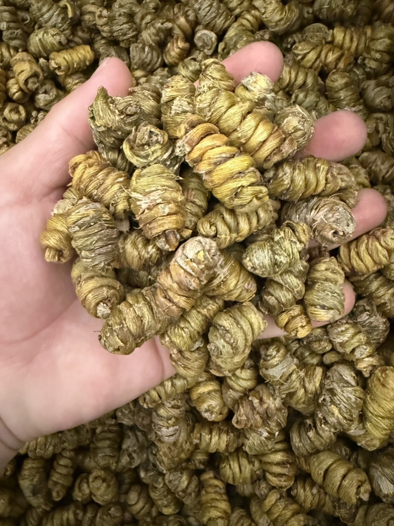 铁皮石斛枫斗