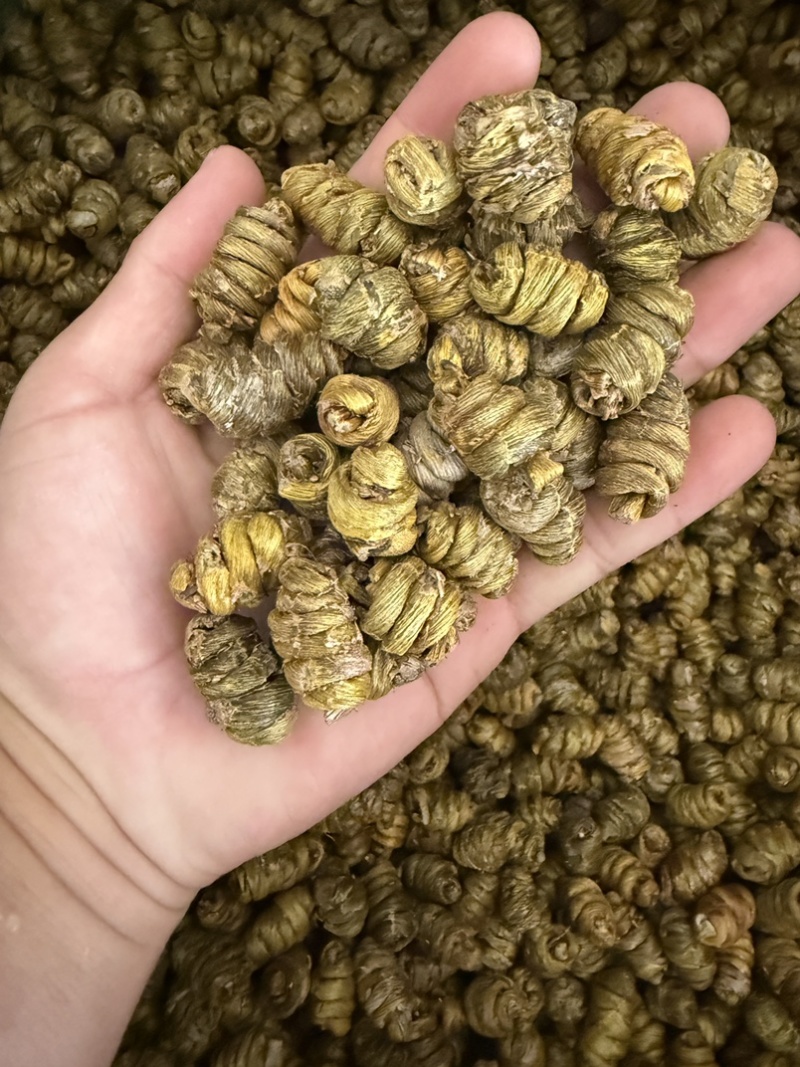 铁皮石斛枫斗