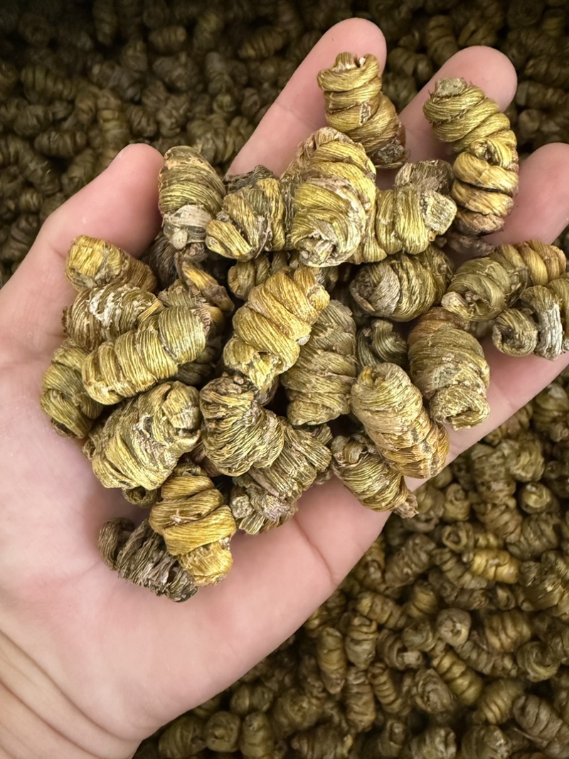 铁皮石斛枫斗
