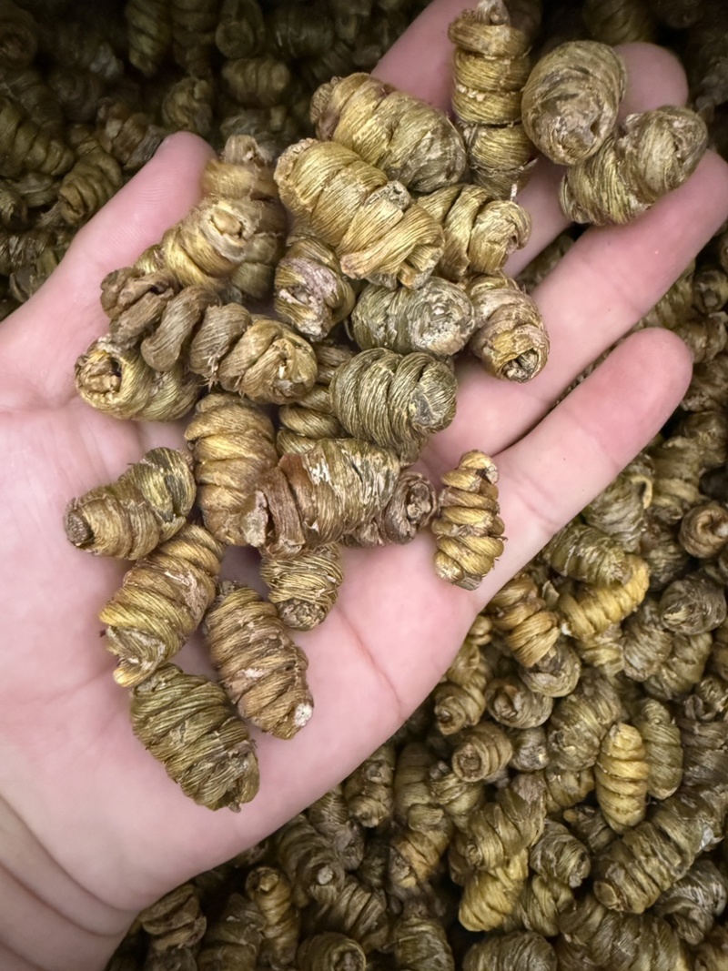 铁皮石斛枫斗