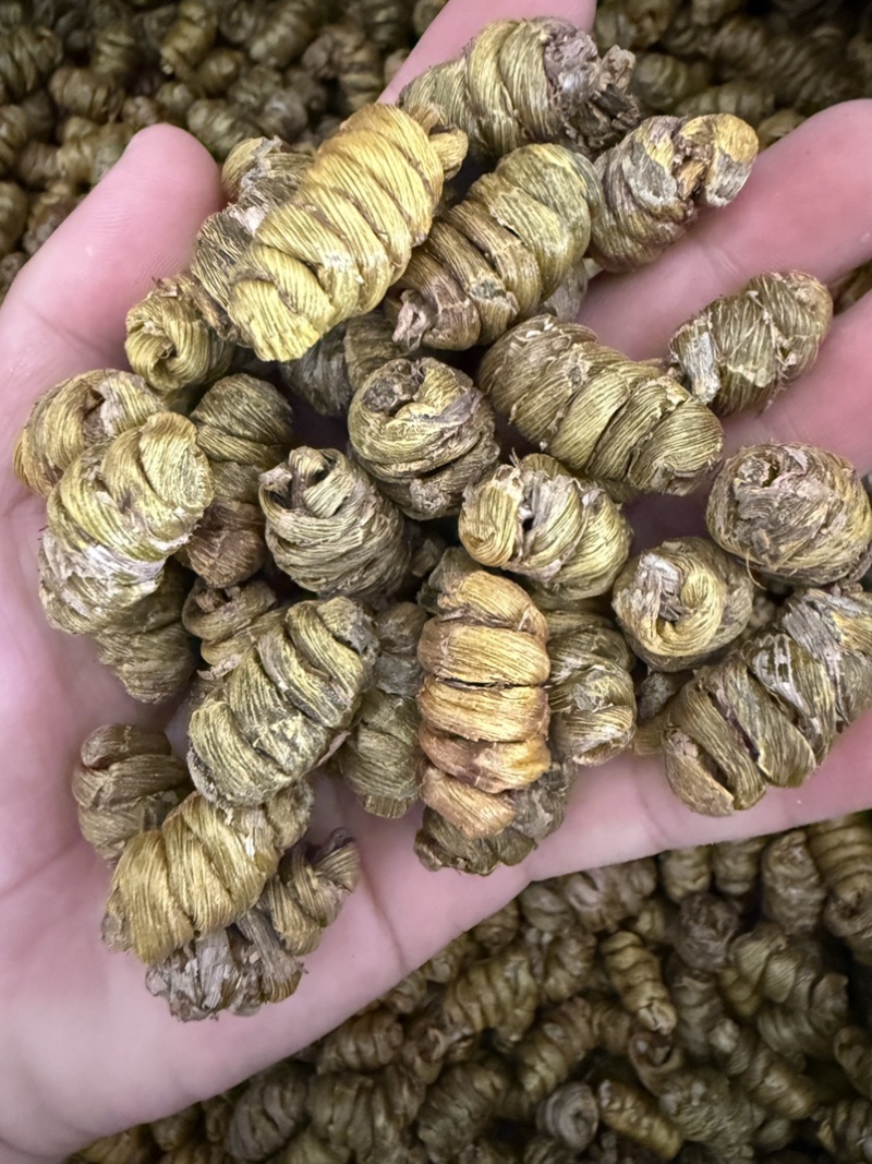 铁皮石斛枫斗