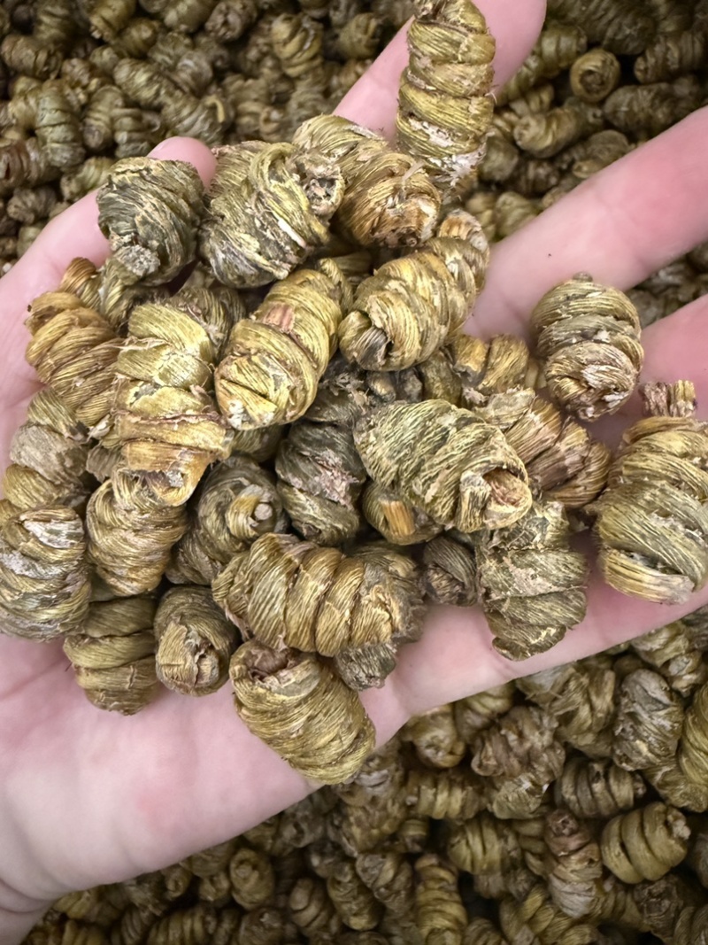 铁皮石斛枫斗
