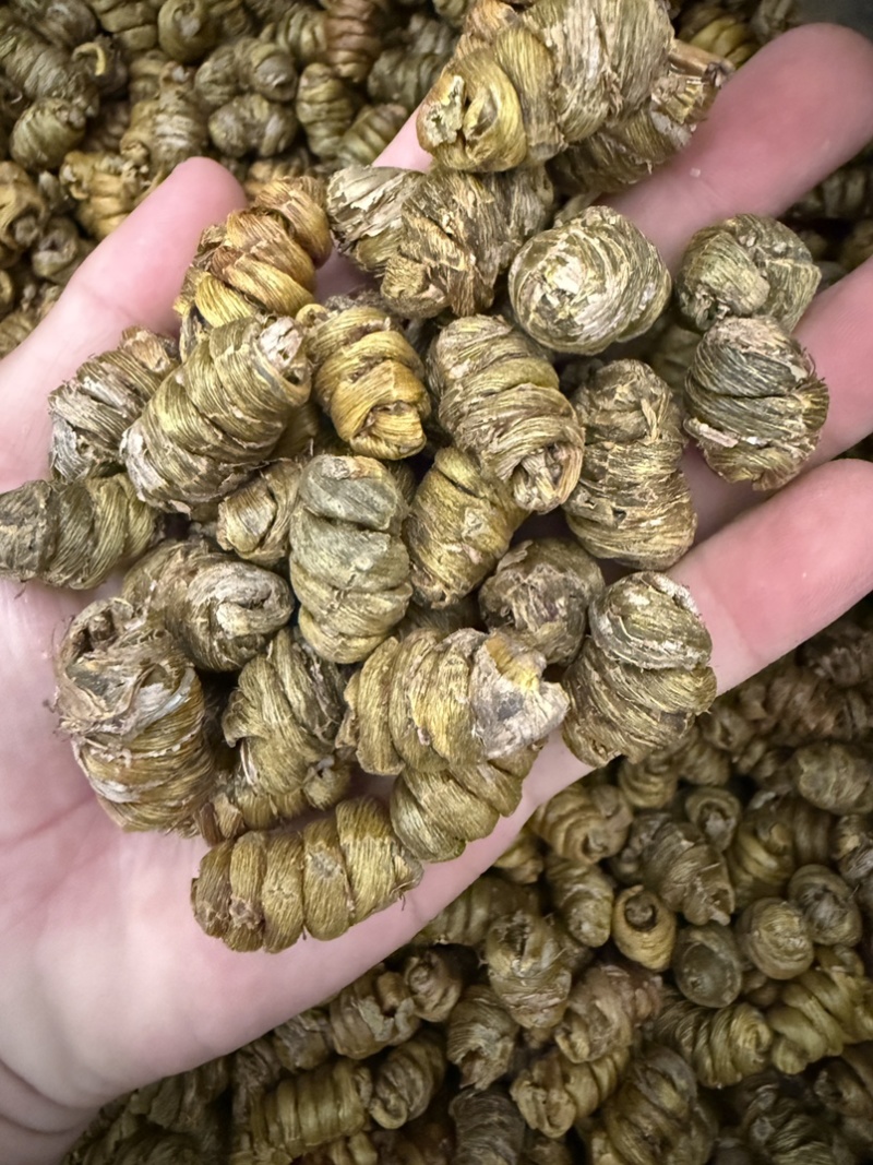 铁皮石斛枫斗