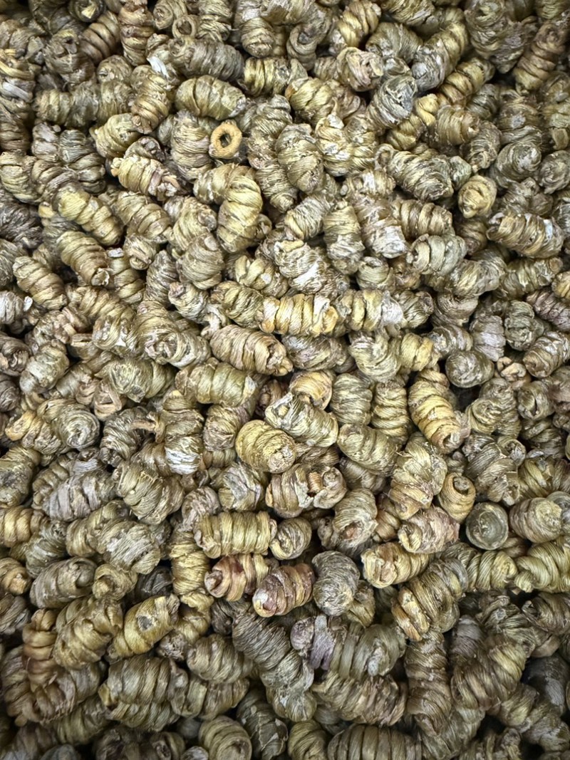 铁皮石斛枫斗