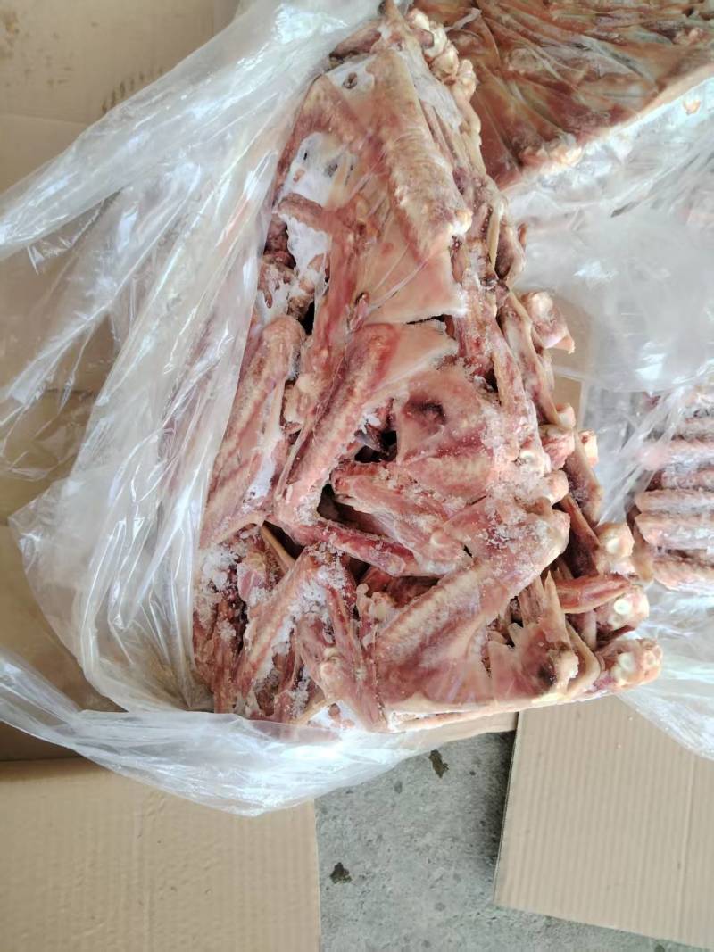 一级鹅翅大量有货厂家直销质量保证售后无忧