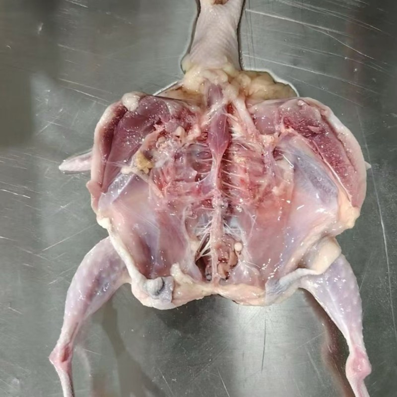 带头去爪全净膛鹌鹑