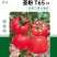 蕃茄种子,圣大圣粉T65,硬粉亮丽色泽鲜艳,商品性好,