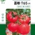 蕃茄种子,圣大圣粉T65,硬粉亮丽色泽鲜艳,商品性好,