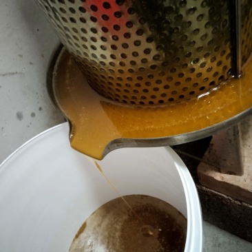 我要卖土蜂蜜