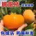 太秋脆甜柿子（自然脱色）摘下即食脆甜口感甜度高产量多