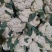 江苏徐州菜花大量上市/精品菜花产地发货对接全国量大优惠