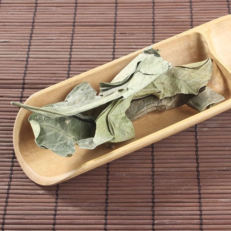 野生龙利叶中药材龙利叶龙俐叶龙舌叶龙脷叶牛耳叶正品包