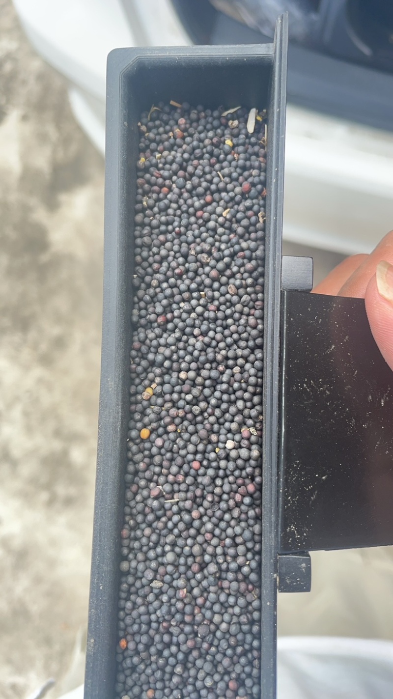 南通精品小农户菜籽