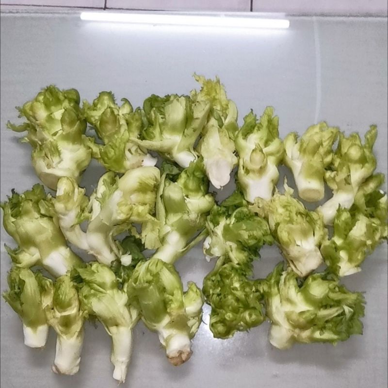 新鲜儿菜/地头发货/当天采摘/当天发车/拒绝预售