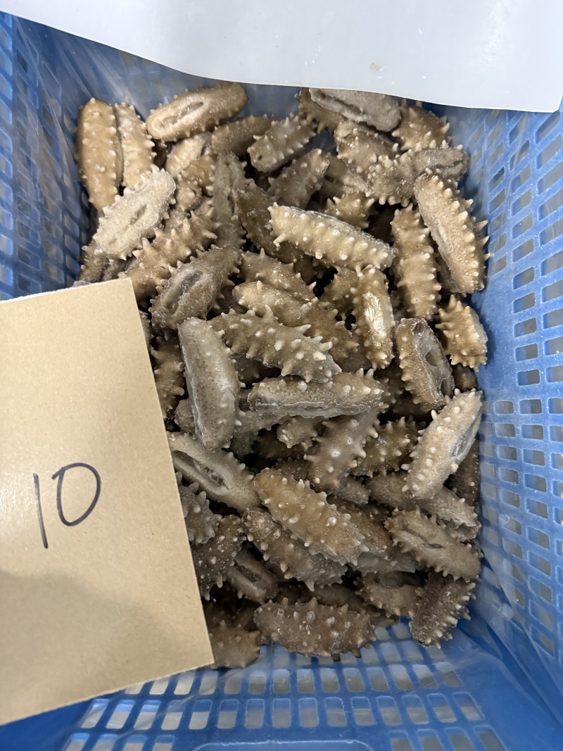 即食辽刺参海参量大从优价格实惠全国发货