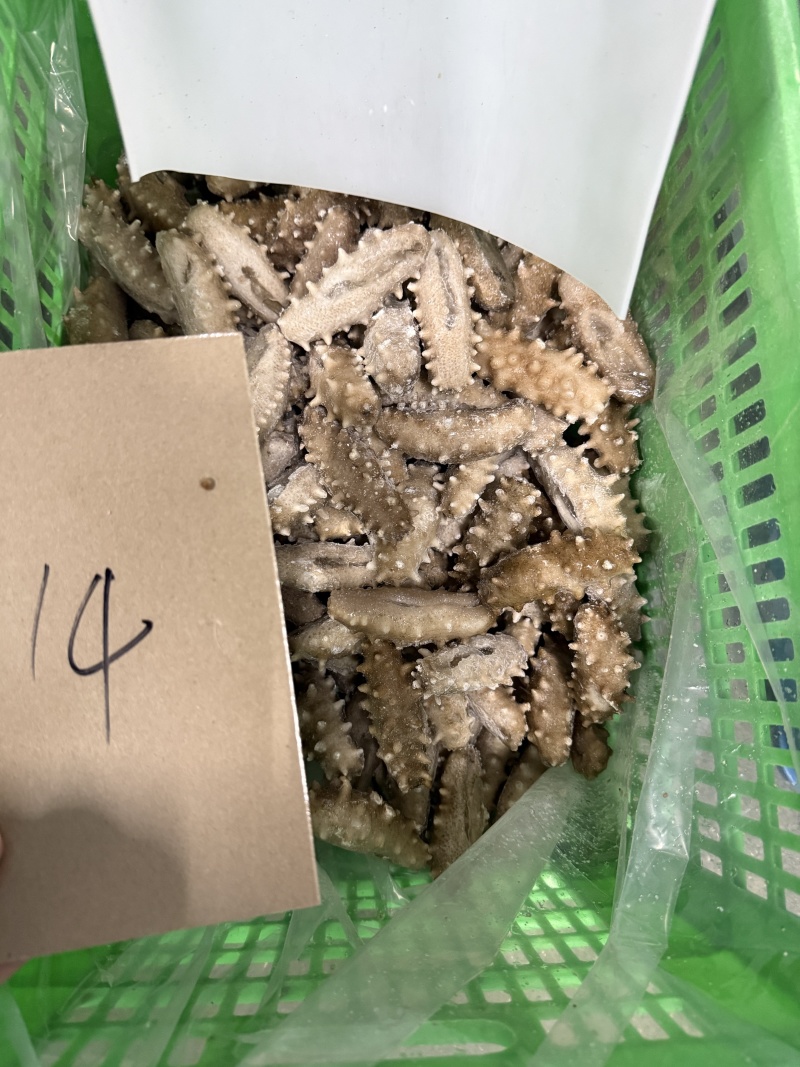 即食辽刺参海参量大从优价格实惠全国发货