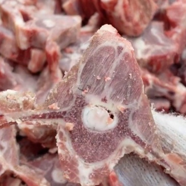 内蒙满肉羊蝎子