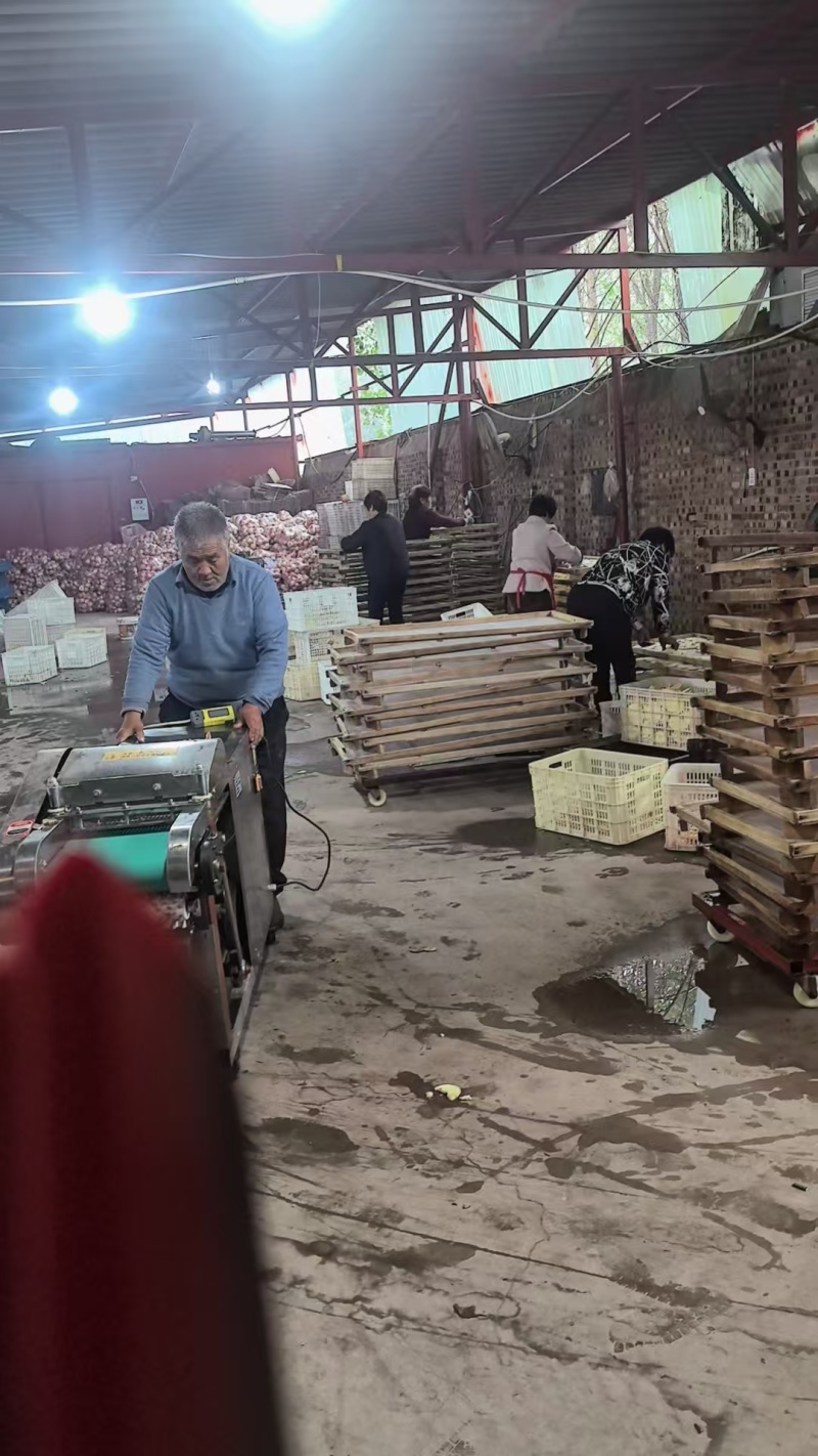 河北邢台苹果干大量上市，欢迎选购。量大从优，发货迅速。。