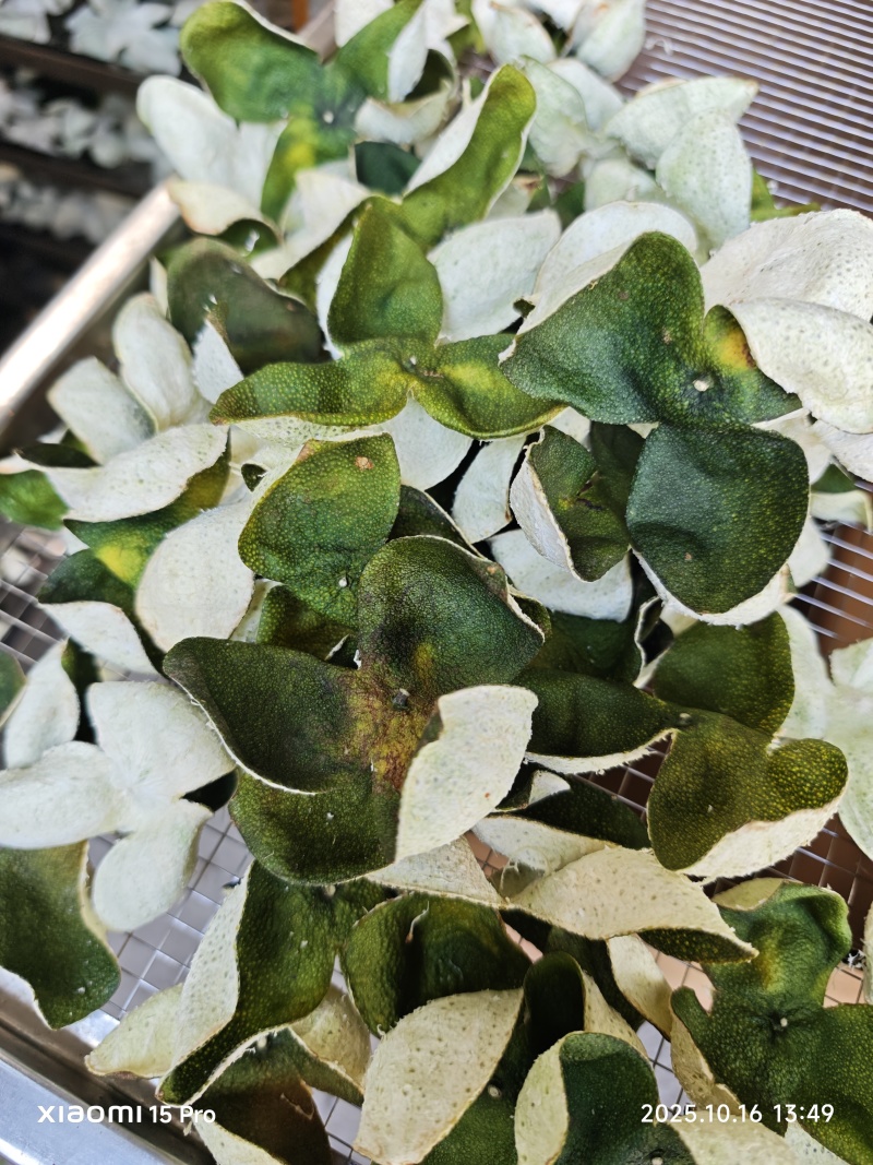 青皮