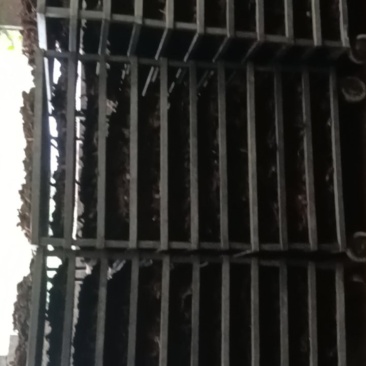 自己加工厂出的成品，不掺晒货
