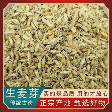 麦芽生麦芽炒麦芽焦麦芽规格齐全中药材批发