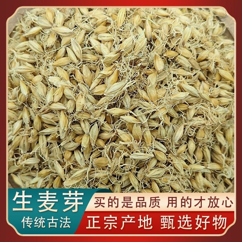 麦芽生麦芽炒麦芽焦麦芽规格齐全中药材批发