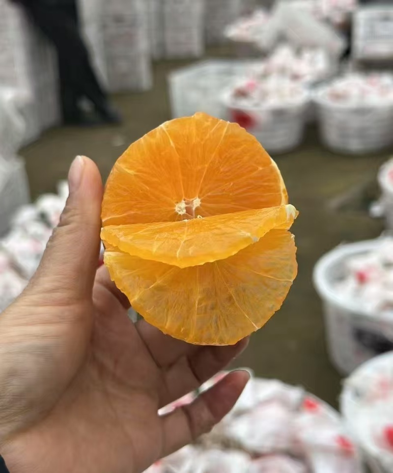 (推荐)春见耙耙柑，纯甜无渣，柑橘皇后，产地直发