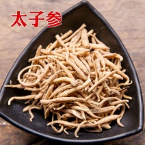 太子参正宗太子参不熏硫新鲜太子参孩儿参正品