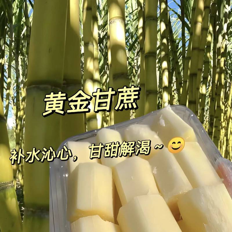 《热卖》四川黄金甘蔗/攀枝花黄金甘蔗/一件代发便宜