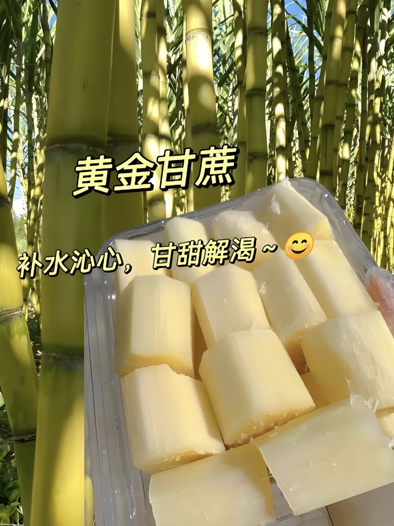 《热卖》四川黄金甘蔗/攀枝花黄金甘蔗/一件代发便宜