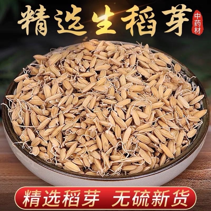 稻芽生稻芽炒稻芽规格齐一手货源中药材批发