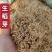 稻芽生稻芽炒稻芽规格齐一手货源中药材批发