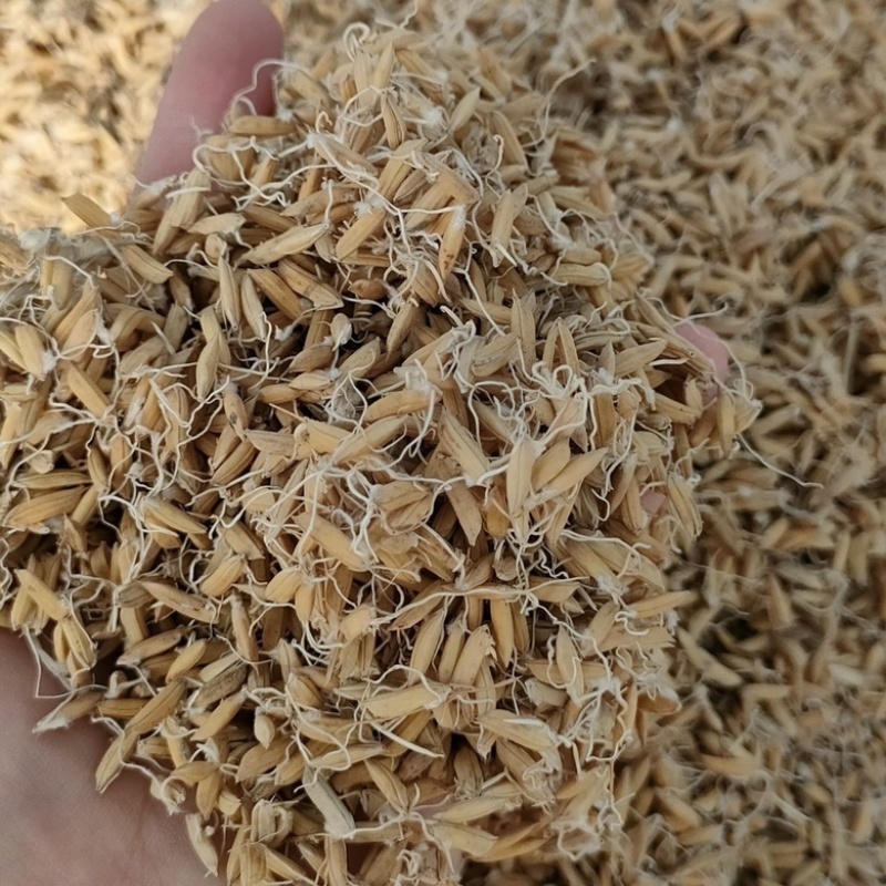 稻芽生稻芽炒稻芽规格齐一手货源中药材批发