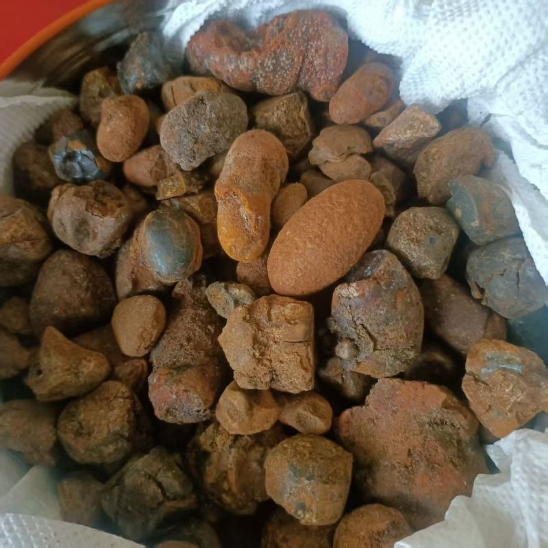 牛黄中药材，丑宝,质保纯正，冷背中药材无硫正品