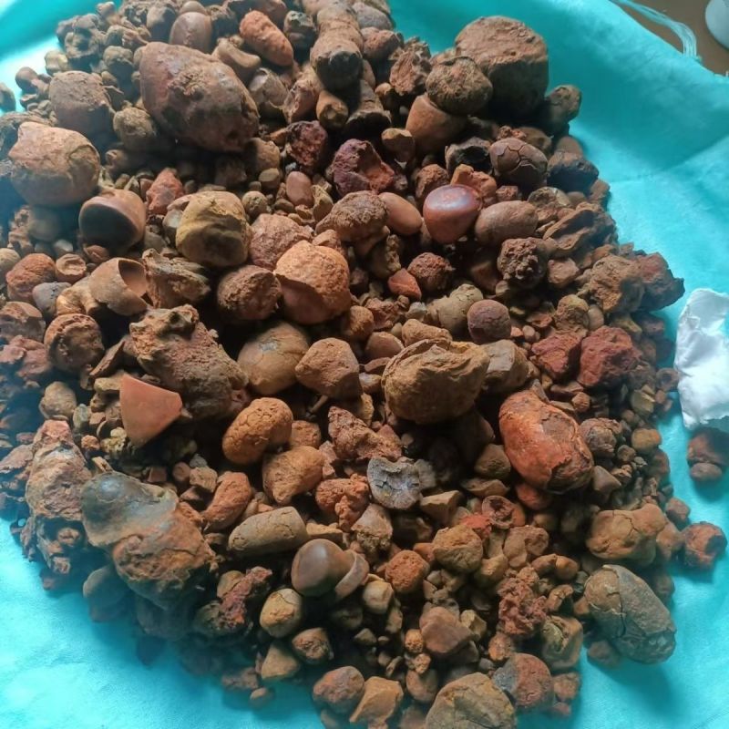 牛黄中药材，丑宝,质保纯正，冷背中药材无硫正品