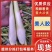 美人茭大量批发走货对接商场超市批发市场等各种规格各种货品
