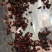 诺丽果籽诺丽果子诺丽果仁可榨油可方药材