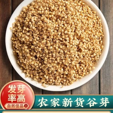 谷芽生谷芽炒谷芽规格齐全对接大货中药材批发